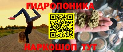 прущие крисы Будённовск