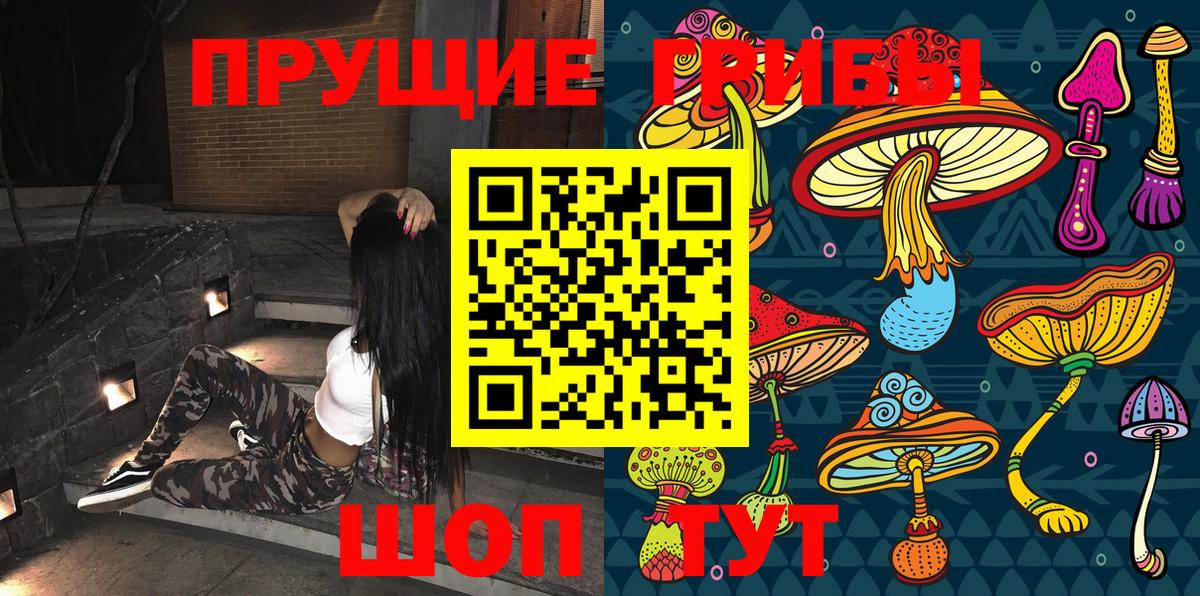 Псилоцибиновые грибы мицелий Краснодар