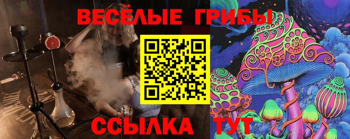 Краснодар  закладки  Вход с VPN  Псилоцибиновые грибы мицелий 